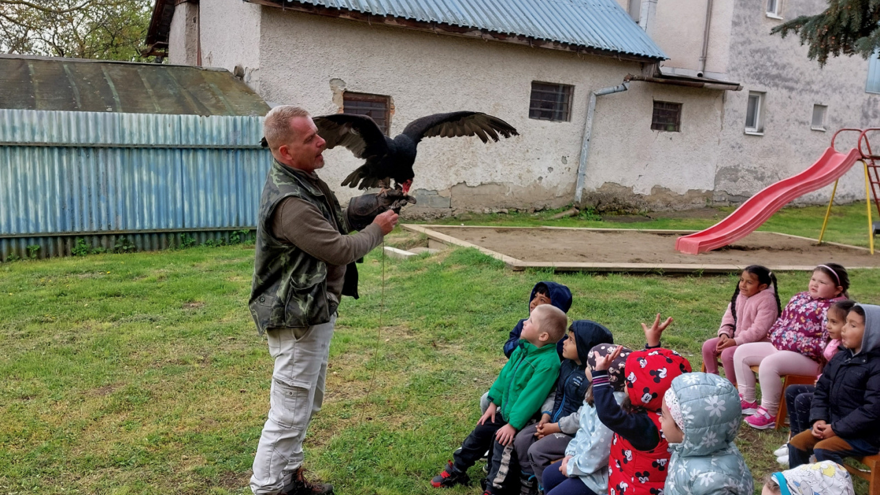 Sokoliari - Horus 2023  Sokoliari - Horus 2023