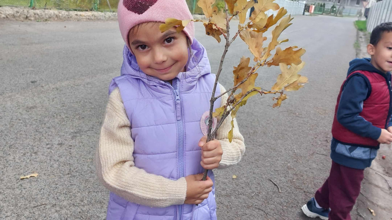 Zber jesenných plodov 2025 