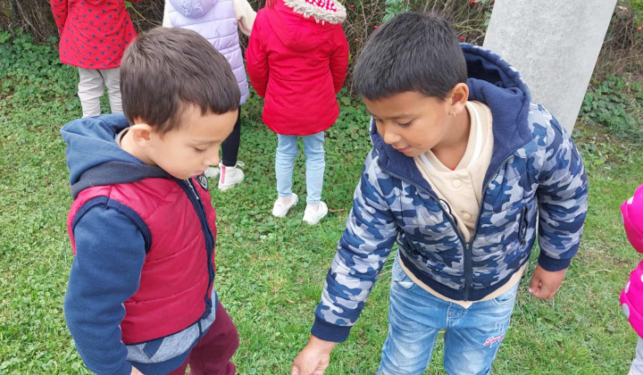 Zobraziť fotografiu