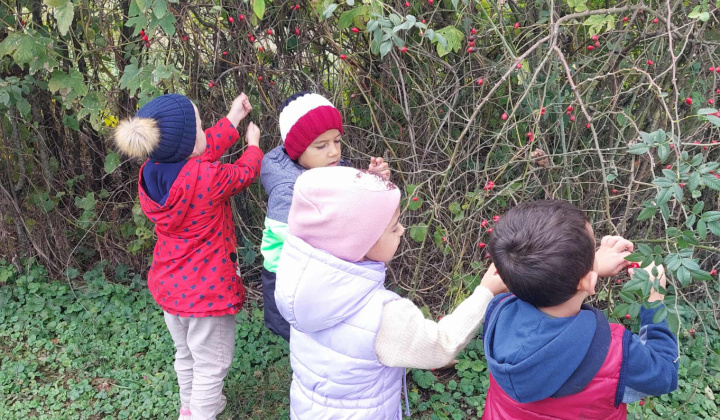 Zobraziť fotografiu