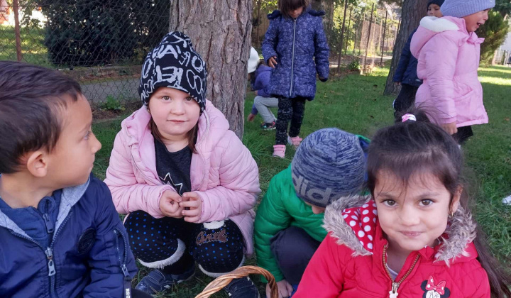 Zobraziť fotografiu